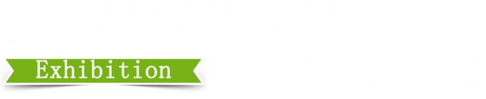 Prensa de vulcanización de placas de alta precisión de 25T 4