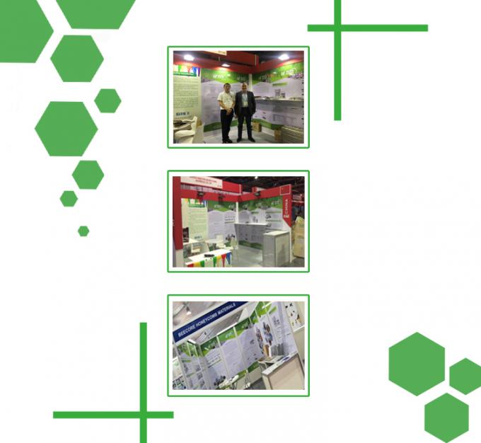 Prensa de vulcanización de placas de alta precisión de 25T 5