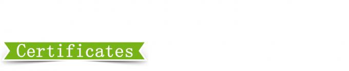 Prensa de vulcanización de placas de alta precisión de 25T 6