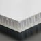 La base de panal ligera del polipropileno FRP artesona para Van Wall Panel And Floor